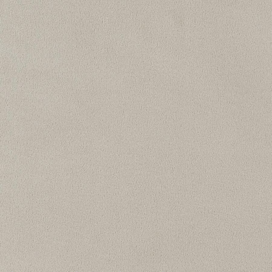 Alana Velvet Upholstered Dining Arm Chair Sand