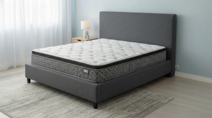 Hayes 11-inch Queen Pillow Top Memory Foam Hybrid Mattress