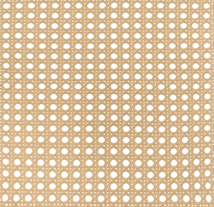 Lanewood Open Cane Webbing Metal Eastern King Bed White