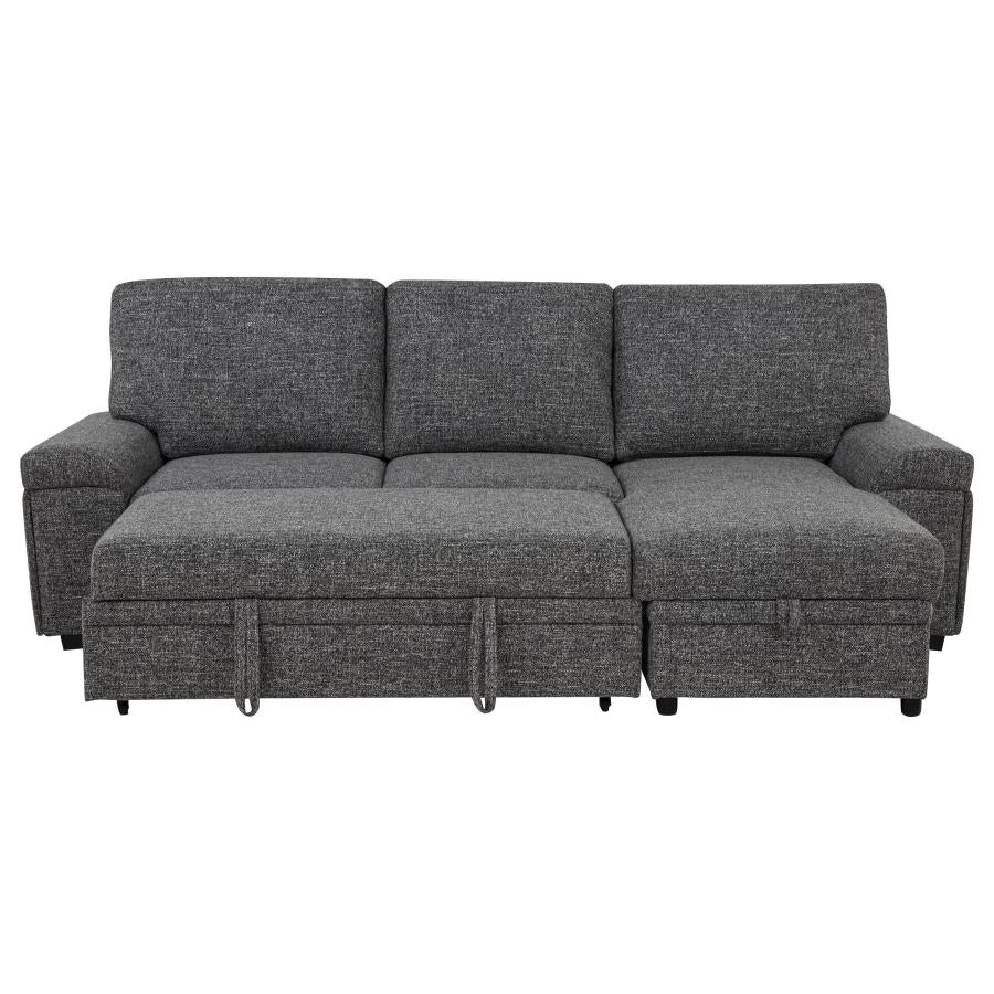 Demko Sleeper Sectional Sofa with Speaker and Storage Chaise Granite