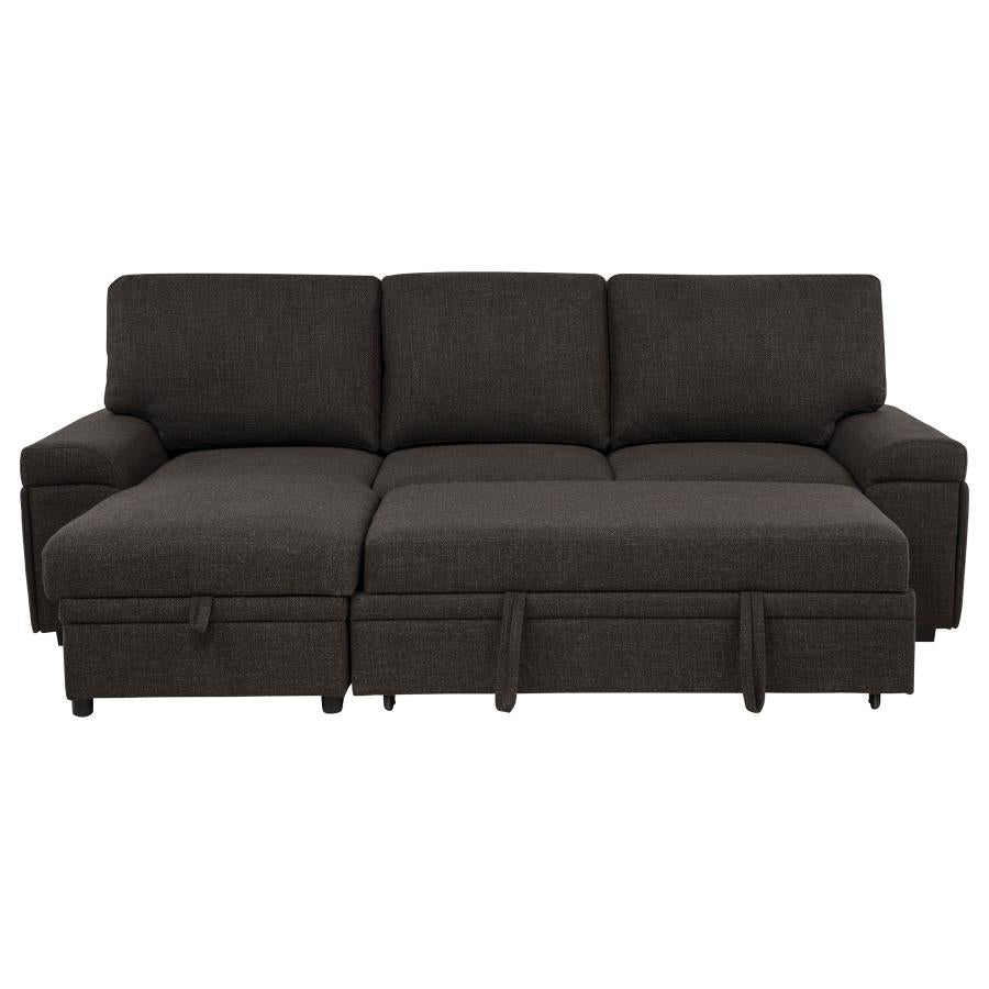 Demko Sleeper Sectional Sofa with Speaker and Storage Chaise Brown