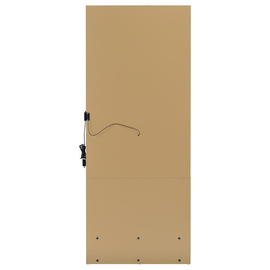 Spector 1-drawer Lighted Full-Length Floor Mirror Mango