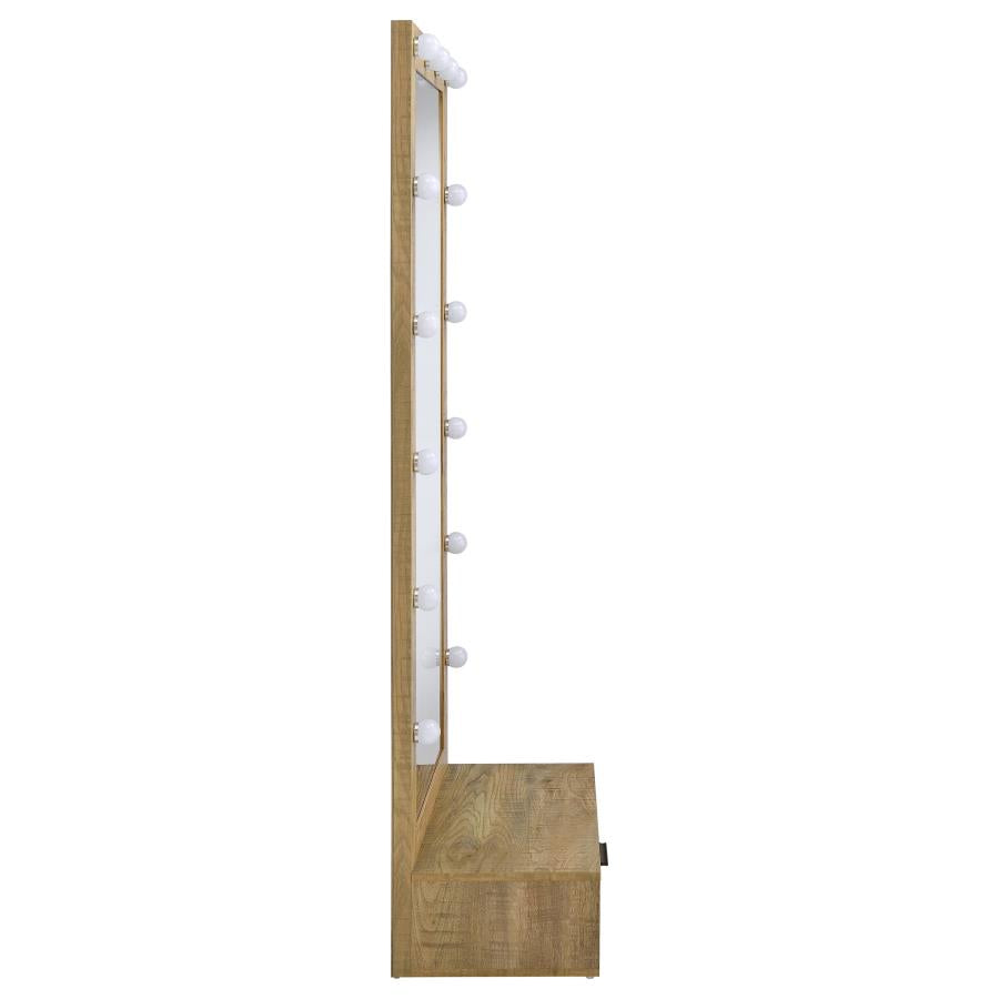 Spector 1-drawer Lighted Full-Length Floor Mirror Mango